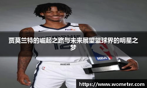 中欧体育官方网站